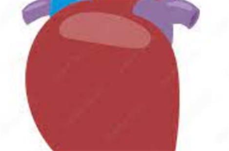 Dr. Newsha Z. Ghodsi