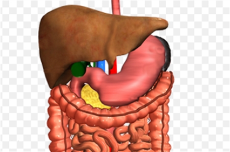 Dr Pendar Nadjafabadi Farahani