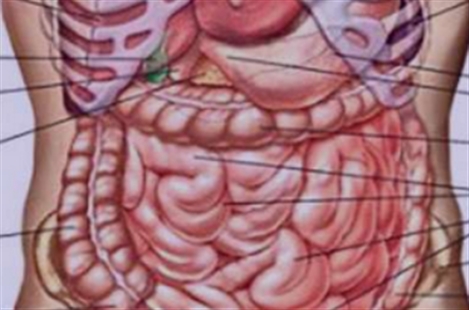Dr. Hooman Dehghan