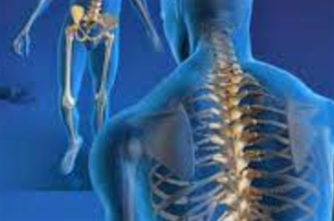 Dr Sayed hadi Sayedi Roshkhar