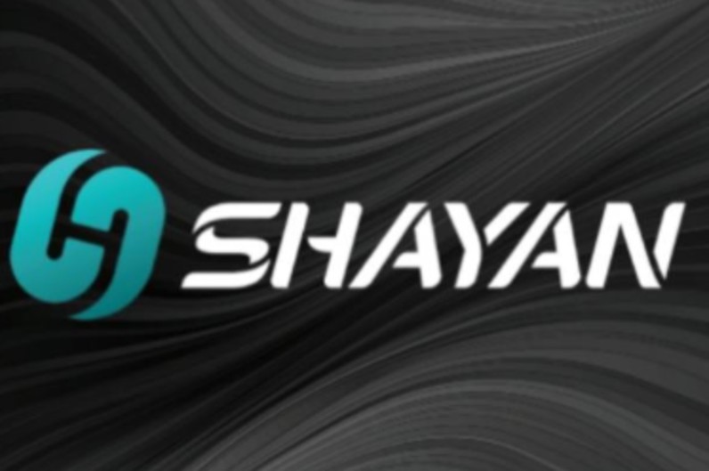 Shayan Immigration & Real Estate Company