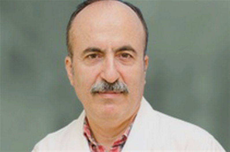 Dr. Seyed Ali Modares Zamani