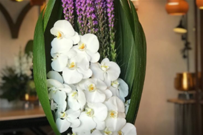 Moz Flowers