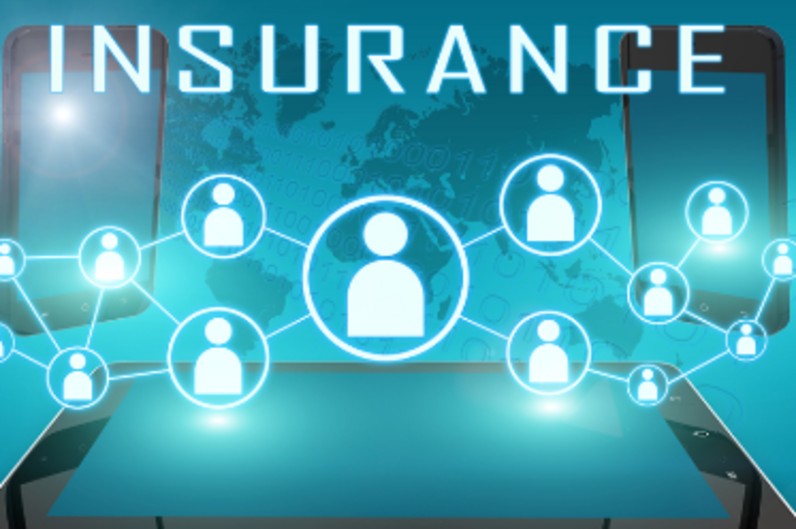 Dual Shields financial Services