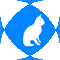 Pets & Vets